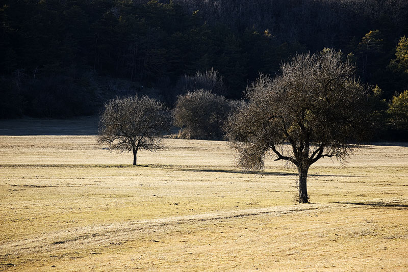 Bargeme, 2009