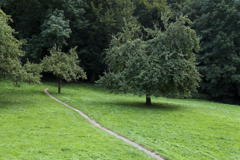 Siebengebirge, 2010