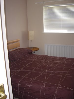 The New house
