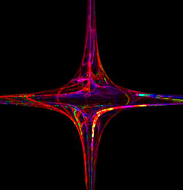 o6/98/696298/1/101514914.epud52GU.Apophysis0808111.jpg