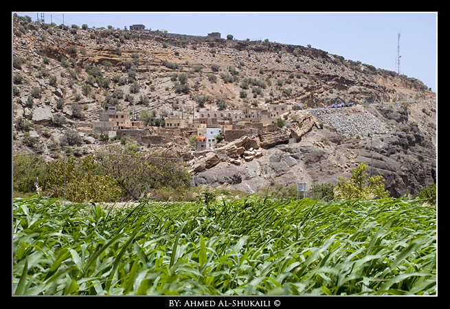 Jabal Akhdar - Alain