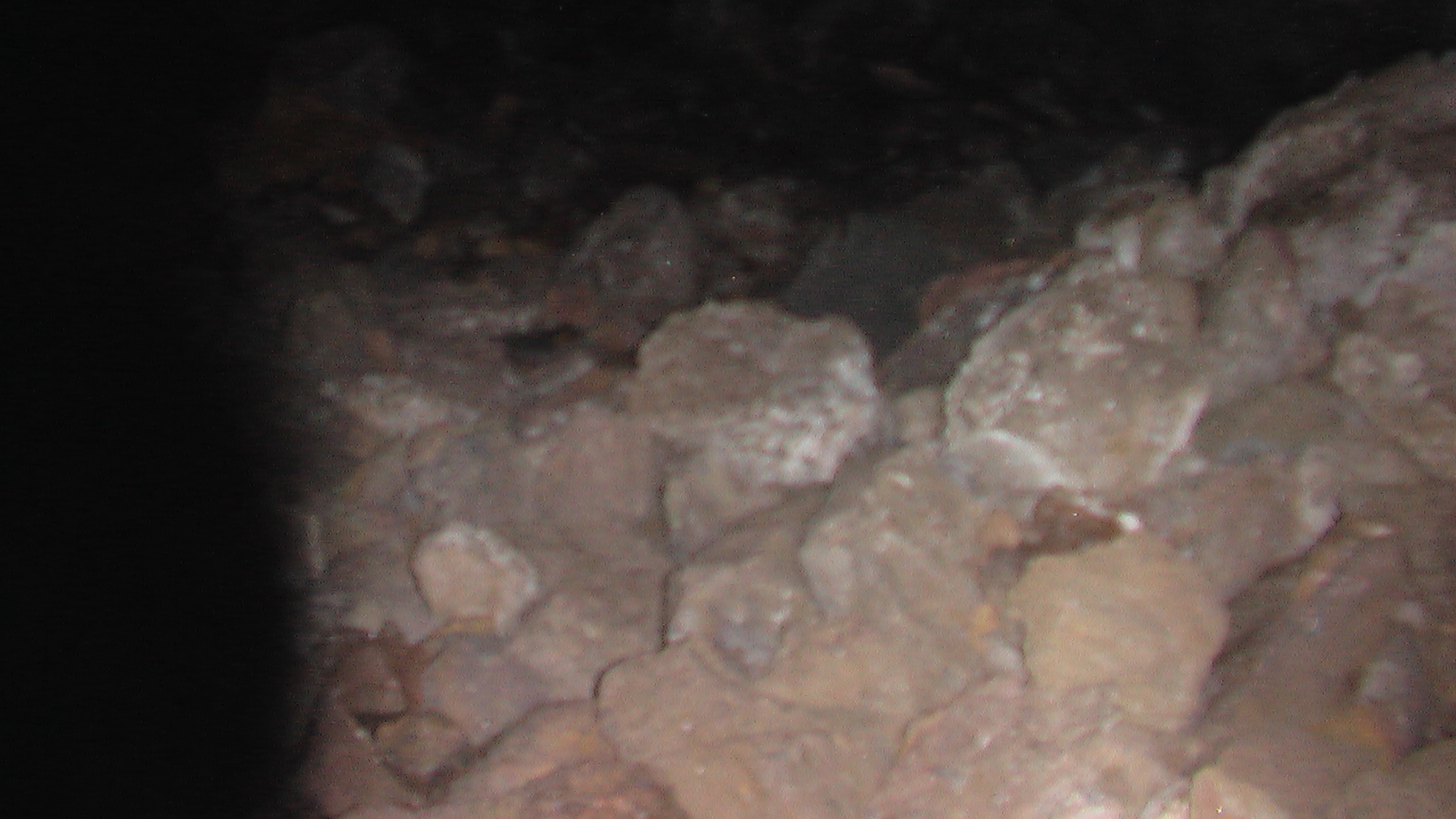 IMGA0824.JPG