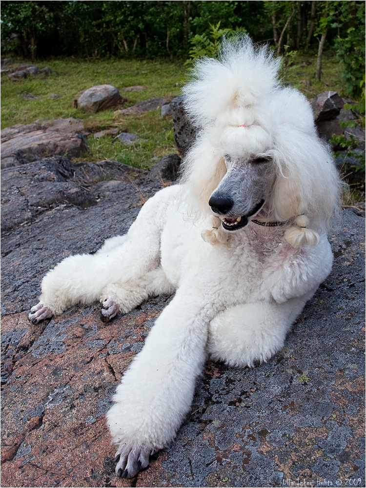 Chilling out on the cliffs