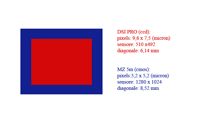 MZ 5m DSI pro.jpg