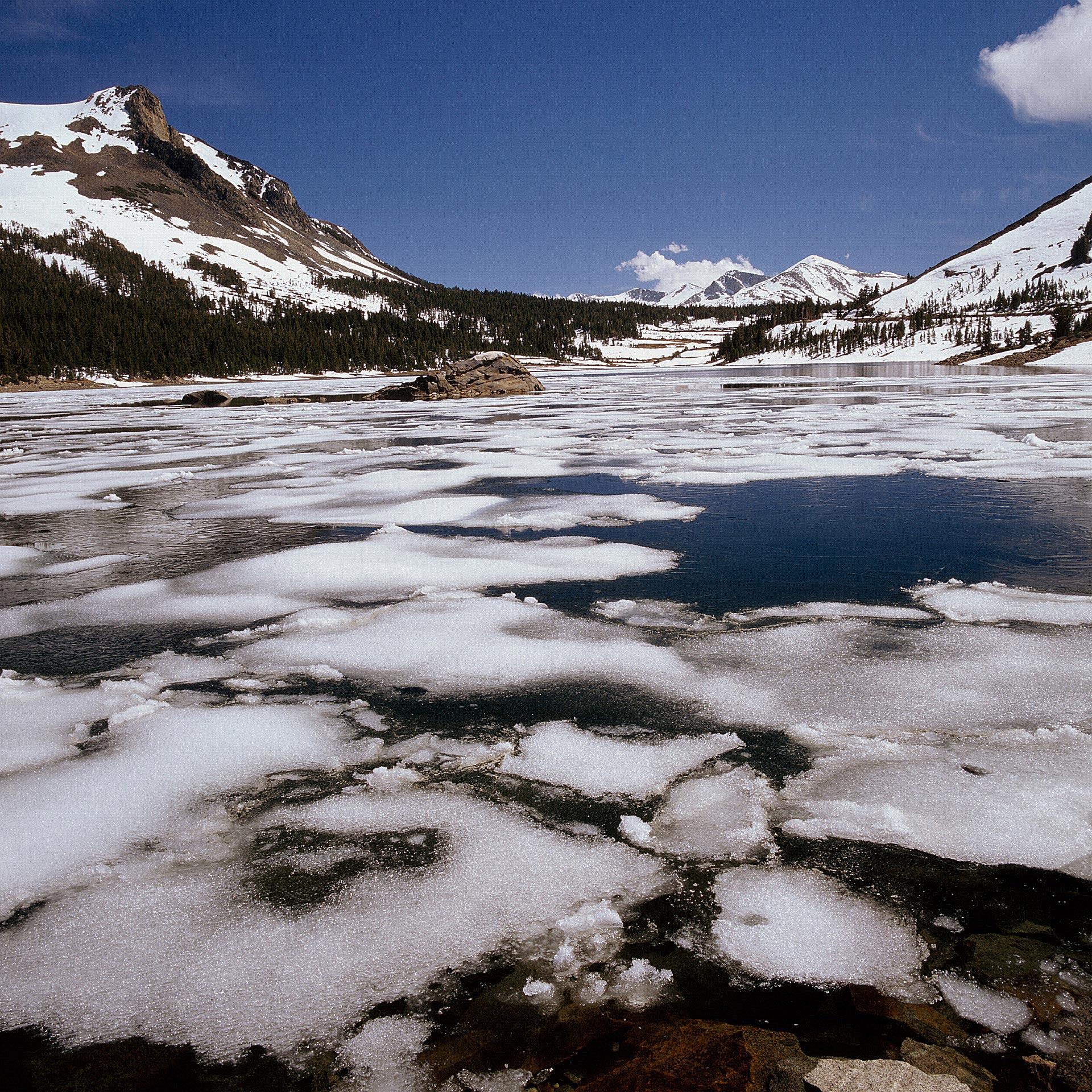 Tioga Lake Ice Flow