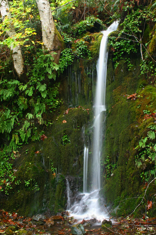 Ephemeral Falls, Agness Rd, Curry Co. OR