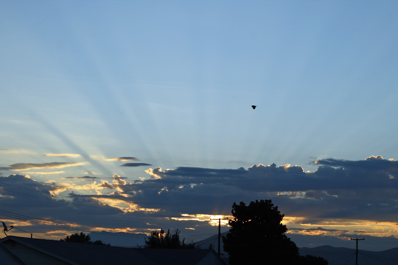 Crep Rays and Crow