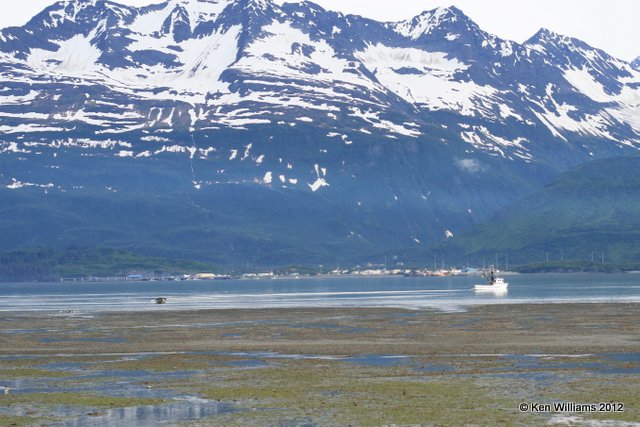 Fishing Boat, Valdez, AK, 7-6-12, Ja_6073.jpg