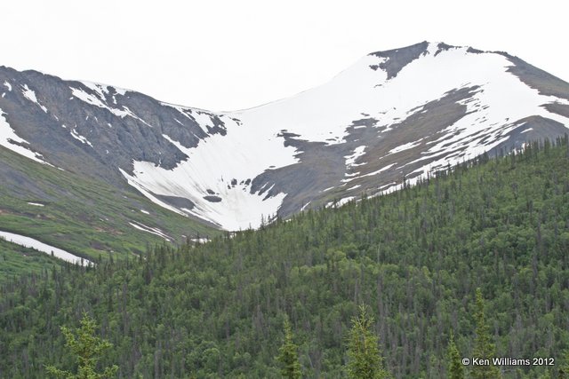 Mountains, Valdez, AK, 7-5-12, JA_6021.jpg