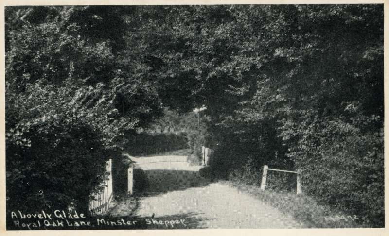 Royal Oak Lane2