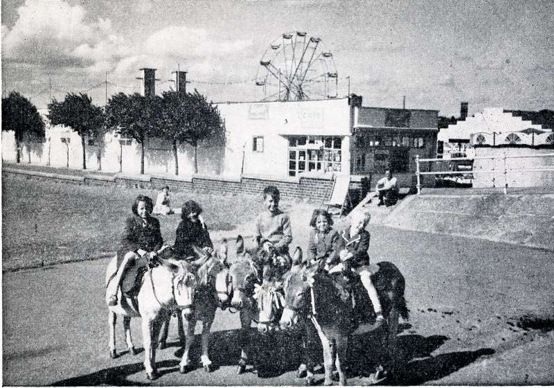 Donkey rides