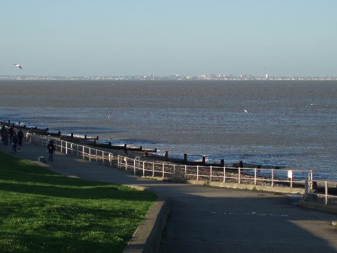 Along the cliffs
