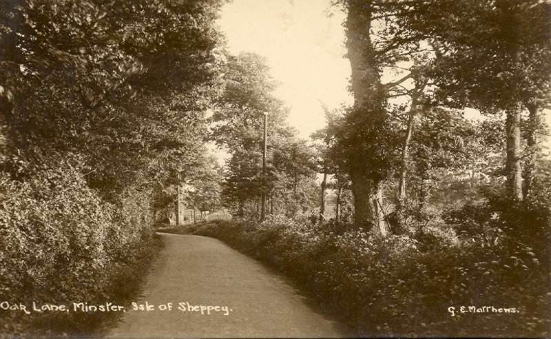 Oak Lane