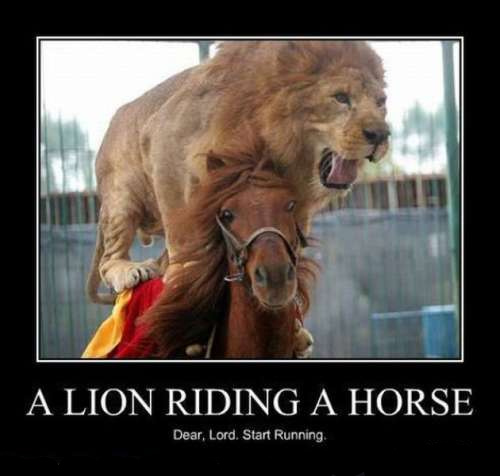 lion-riding-horse-motivational.jpg