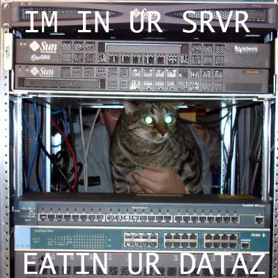 o6/99/289199/1/75362831.LzpDOTTn.cat_server_eatin_dataz.jpg