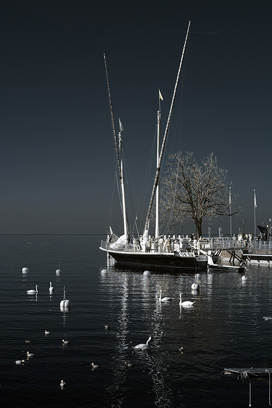 Barque La Demoiselle