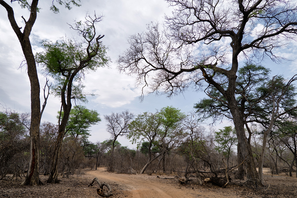 Bwabwata East NP