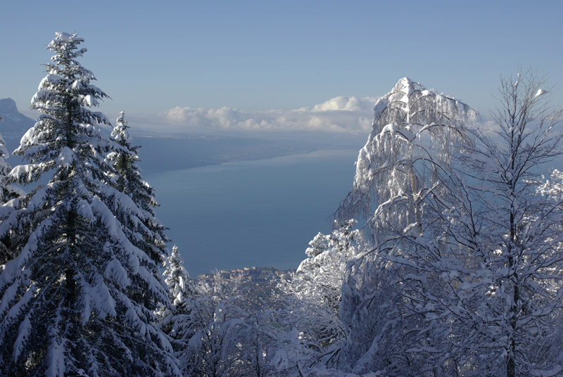 View from les Pliades