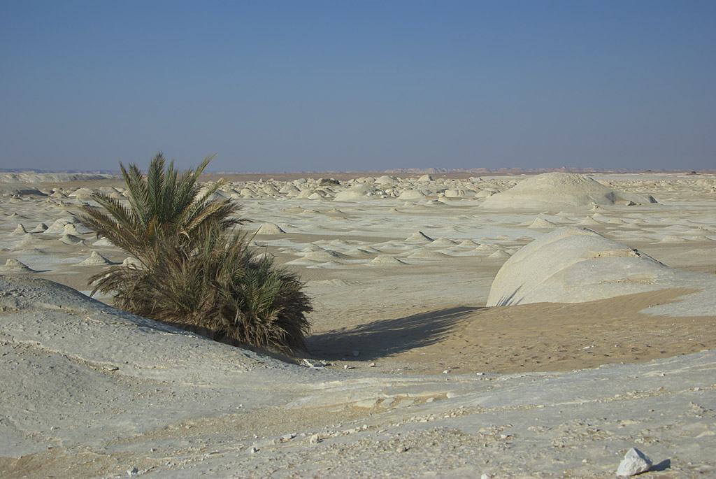 White Desert