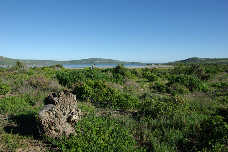 West Coast NP