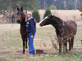 o6/99/30199/1/108625668.SpRCLovc.Carolhorses.JPG