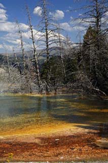 national_parks_in_us