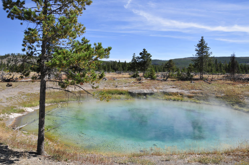 A Thermal Spring Yellowstone  _DSC8140.jpg