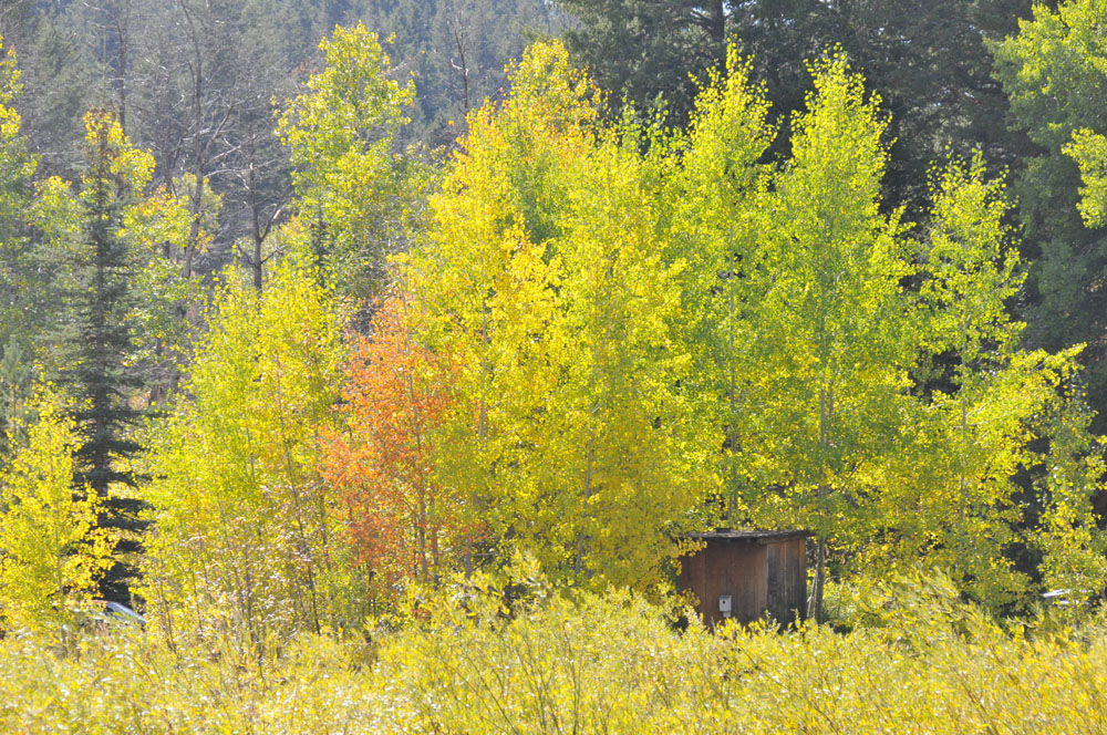 Autumn at Home _DSC9865.jpg