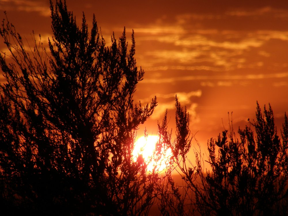 Pocatello Sunset smallfile P7290072.jpg