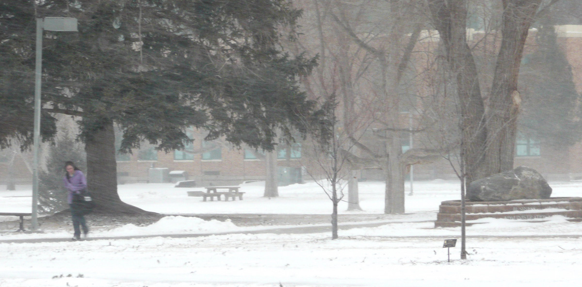 A Blustery, Snowy Day on Campus P1020313