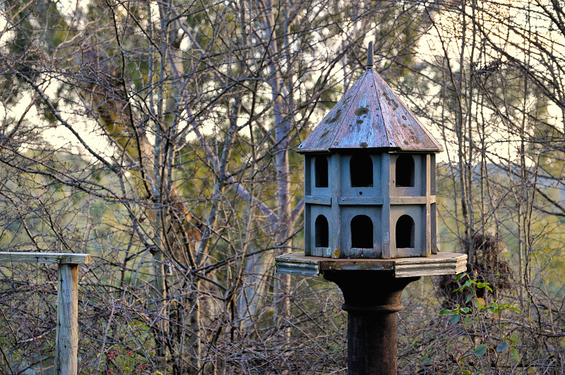 Old bird feeder