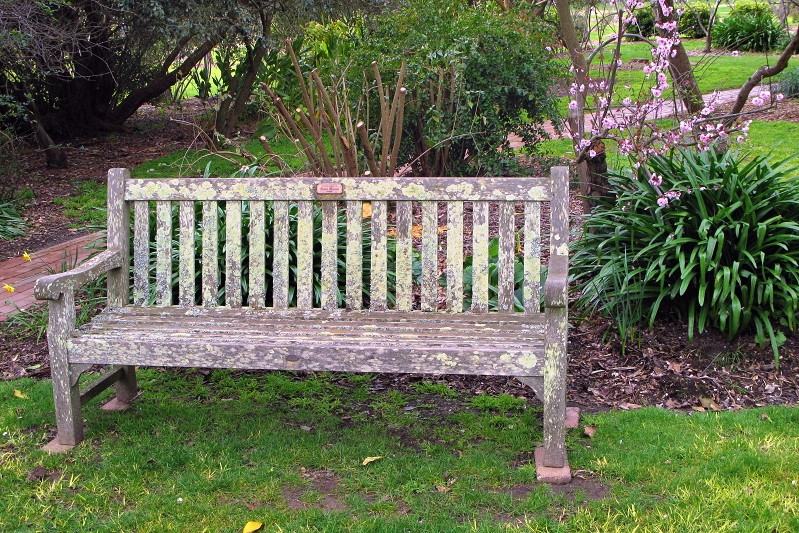 Moss covered bench