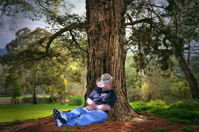 Asleep under the old oak tree