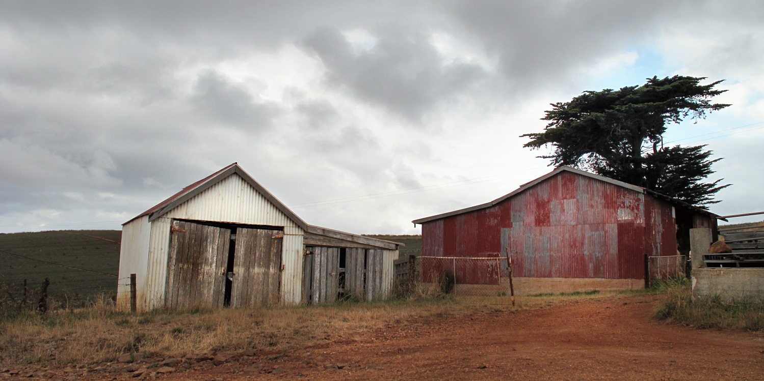 Farm sheds in Wynyard