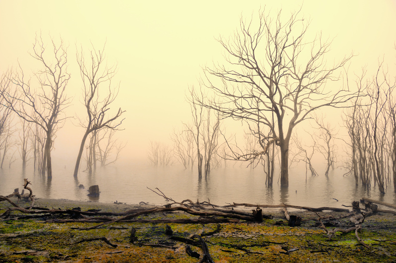 Australian Landscapes