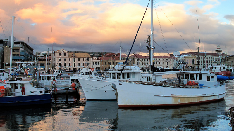 Fishing boats
