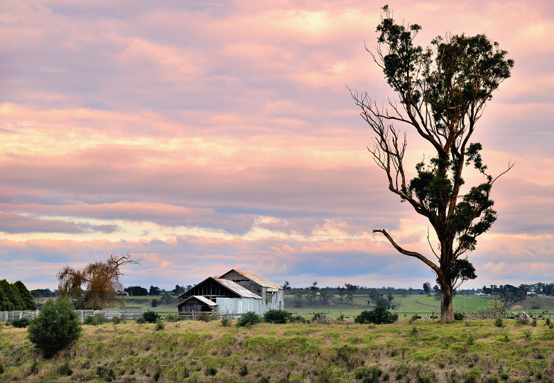 Marlo farm