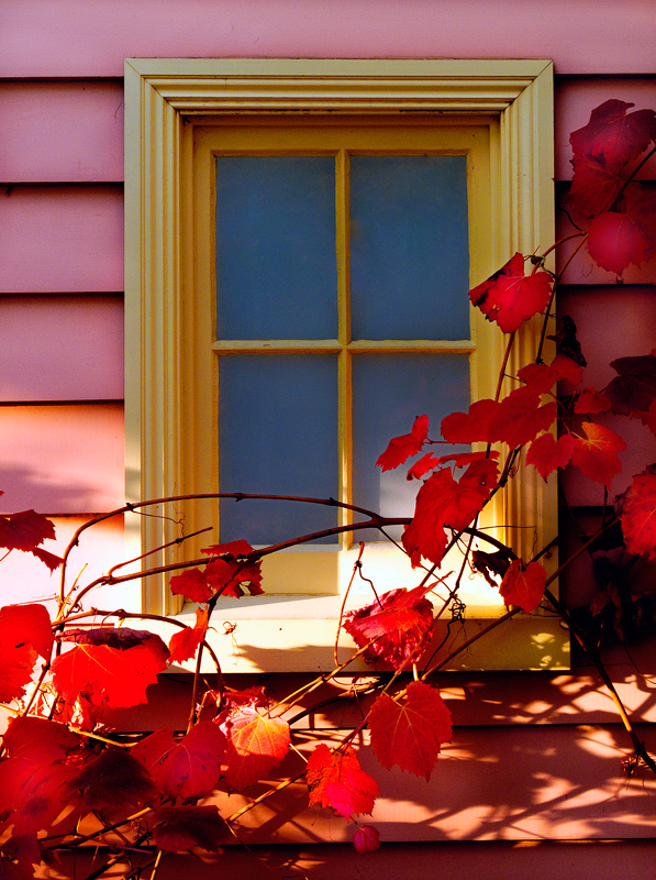 Autumn window