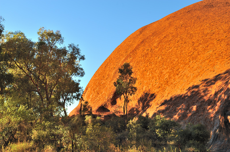 Uluru landscape 5
