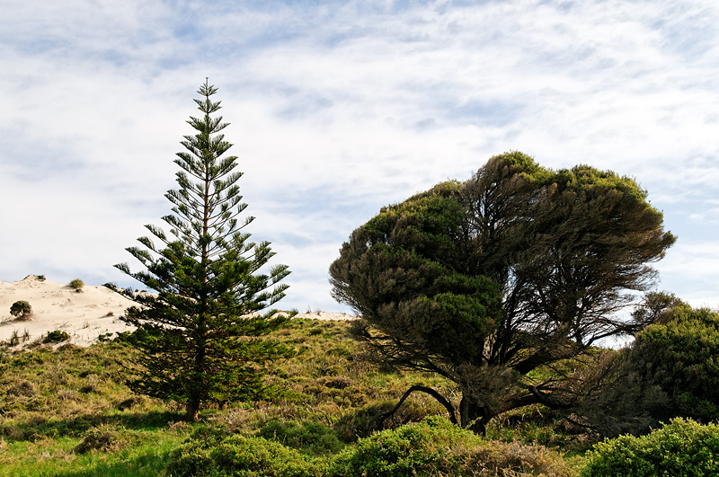 Rottnest Island - Western Australia