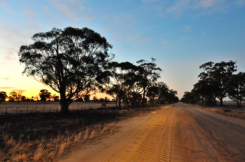 Dusty Road