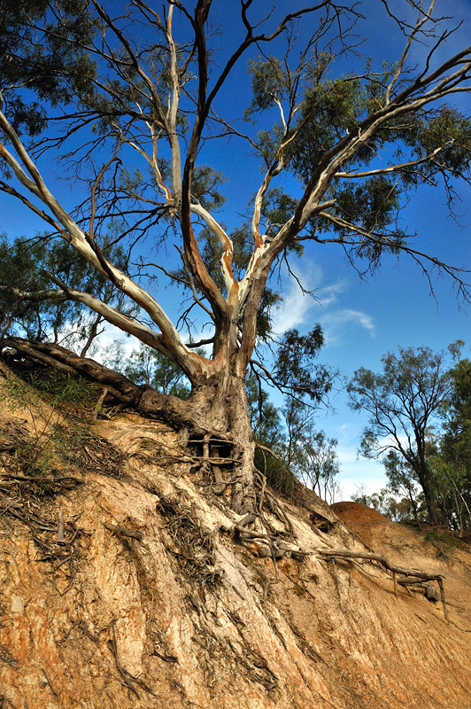 Erosion on the banks