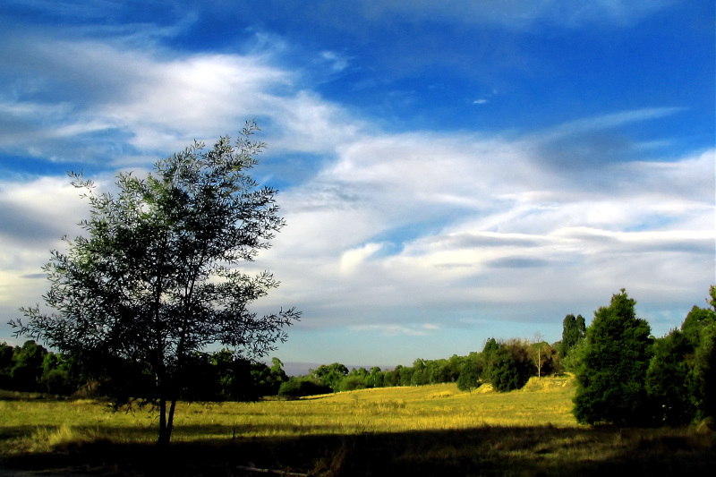 o6/99/380799/1/36244836.O0zDEjPF.WESTERFOLDSPARK.jpg