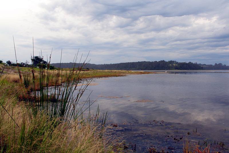 lake view