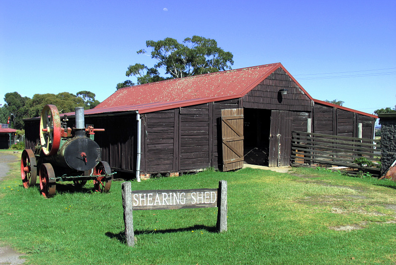 Shearing shed