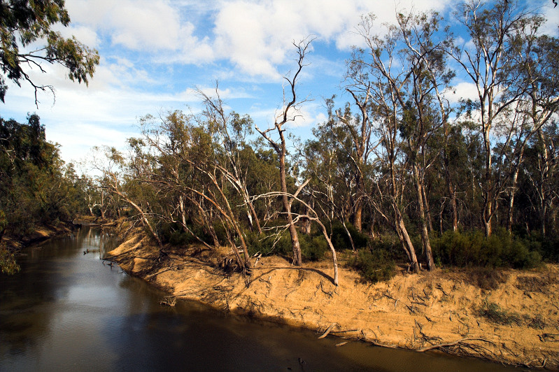 Echuca River Bank