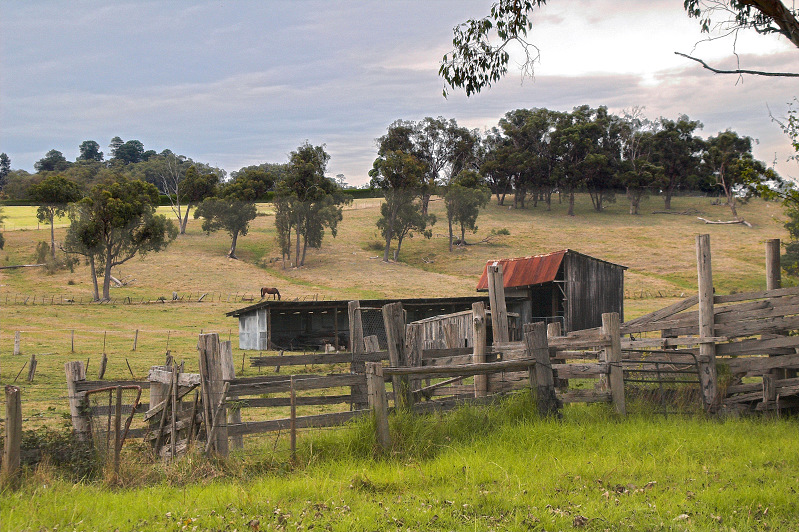 Horse Barn