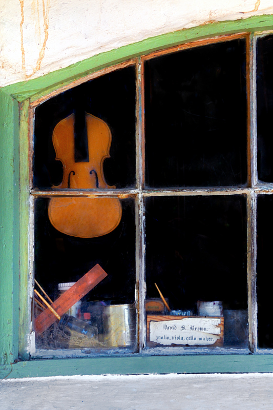 Violin in the window ~