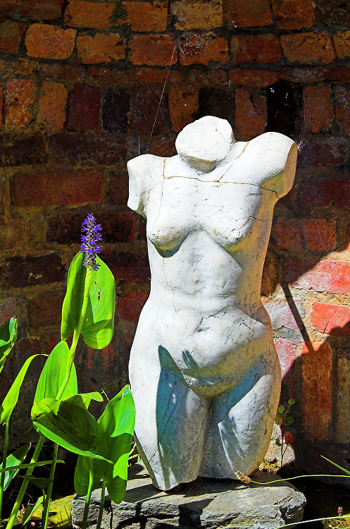 statue in pond