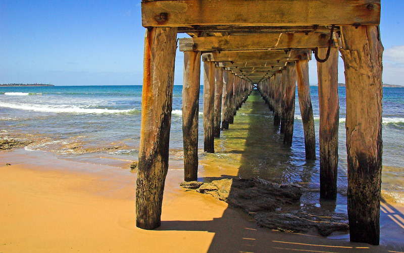 Under the Jetty